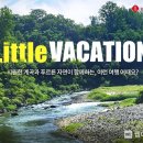 리틀베케이션
