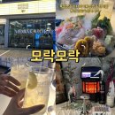 창원 상남동 이자카야 모락모락 상남동 숙성사시미 존맛 후기 하이볼 술집 맛집