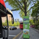 유한대학 | 부천 시티투어 튤립 봄꽃축제 기간 튤립 코스 여행 후기