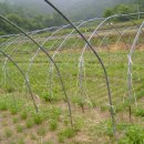 오삼농장 이미지