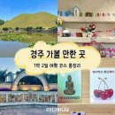 포석로4-1(서) | [경주 여행] 경주 1박2일 여행 코스 총정리! 가볼 만한 곳 추천