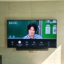 에스클레스바 이미지