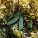 S0620 | 아름다운 천개의 섬을 가진 자카르타 자유여행 - 자카르타 호텔 추천 술탄 호텔 자카르타