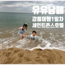 이마트24 강문해변점 | 유유남매 여행기록1) 강릉 경포대 숙소 세인트존스 호텔 파인타워 수영장 이용 후기