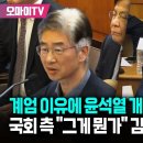 [8차변론기일] 김봉식 서울청장 증인 신문 모음 이미지