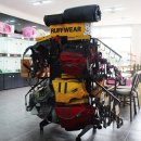 제주헬로우펫 이미지