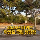 태안카부분정비 | 충남 태안 학암포 국립캠핑장 A,B,C,D 사이트 후기 총정리 (사이트 추천, 소음 정보, 샤워실까지)