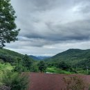 약동의 공간 이미지