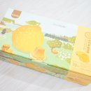 쇼핑에어리어 이미지