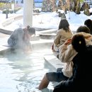 척산족욕공원 이미지