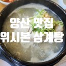 [위시본삼계탕] 삼계탕과 색다른 닭요리 누룽지치즈구이 삼계파스타 오븐영계구이 복날 맛집
