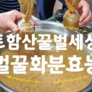 토함산 벌꿀세상 이미지