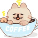 올인다방 이미지