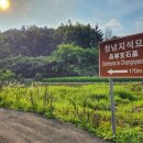 창녕 사리 지석묘 이미지