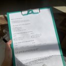 피아 스튜디오 웨딩 촬영 후기 (가격, 스튜디오 촬영 꿀팁, 촬영시안 PPT 공유)