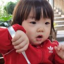 김밥일번지 사파 이미지