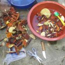 게으른 날 이미지