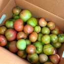 양자농장 이미지