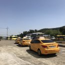 외동점 현대자동차 | 인생 첫 면허 포항 청림 운전면허학원 BEST 4, 수강료부터 합격률까지 완벽 비교!