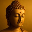 희망 | #2 찌끄레기 [잡담/ 넷플릭스 조용한 희망 후기]