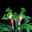 자산동011 이미지