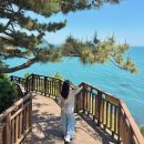 황옥공주 인어상 | 부산 해운대 볼거리 추천 동백섬 둘레길 동백공원 누리마루 코스