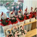 피오라플라워 | 청라꽃집 자연스럽게 고르기 좋았던 피오라플라워 후기