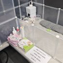 요요헤어 | 송도바버샵 추천 원트맨즈헤어 예비신랑커트 후기