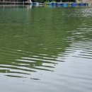 고담낚시터 이미지