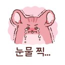 해피댕댕이 네이버블로그