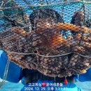 싹쓰리피싱