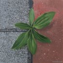 은빛로17번길 이미지