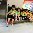 꿈나무교통나라 이미지