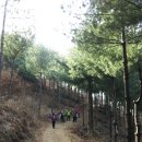 달팽이숲 이미지