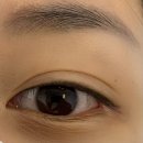 온래쉬(ON LASH)