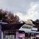 남성주참외(양평) 이미지