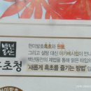 백년동안 티스토리