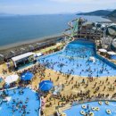 용소폭포 해바라기 이미지