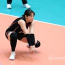 고송희