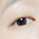 리브로우 이미지