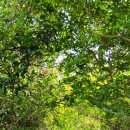 신평리마을회관 이미지