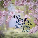 토요일 (가수정훈희) -홍민식- 이미지