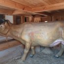 농촌전통테마마을 | 홍천 아이랑 수타사 농촌테마공원 놀이터와 전통 체험