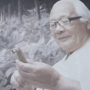 송하수 이미지