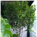 점암농장 이미지