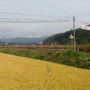 노동3리 이미지