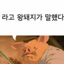 [고양 일산] 애니골맛집 고기가 부들부들한 더부들 일산애니골본점/ 모듬소한판 후기