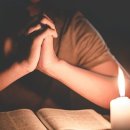 감문초등학교 이미지