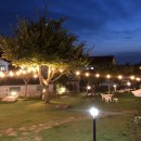 안면애견펜션프리독 이미지