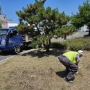 흰털바위광장 이미지